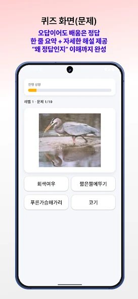 동물 퀴즈왕 화면 4